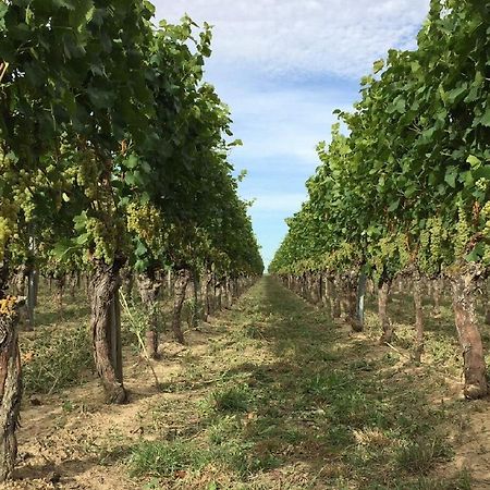 Appartamento Ferien- Und Winzerhof Simon Friburgo in Brisgovia Esterno foto