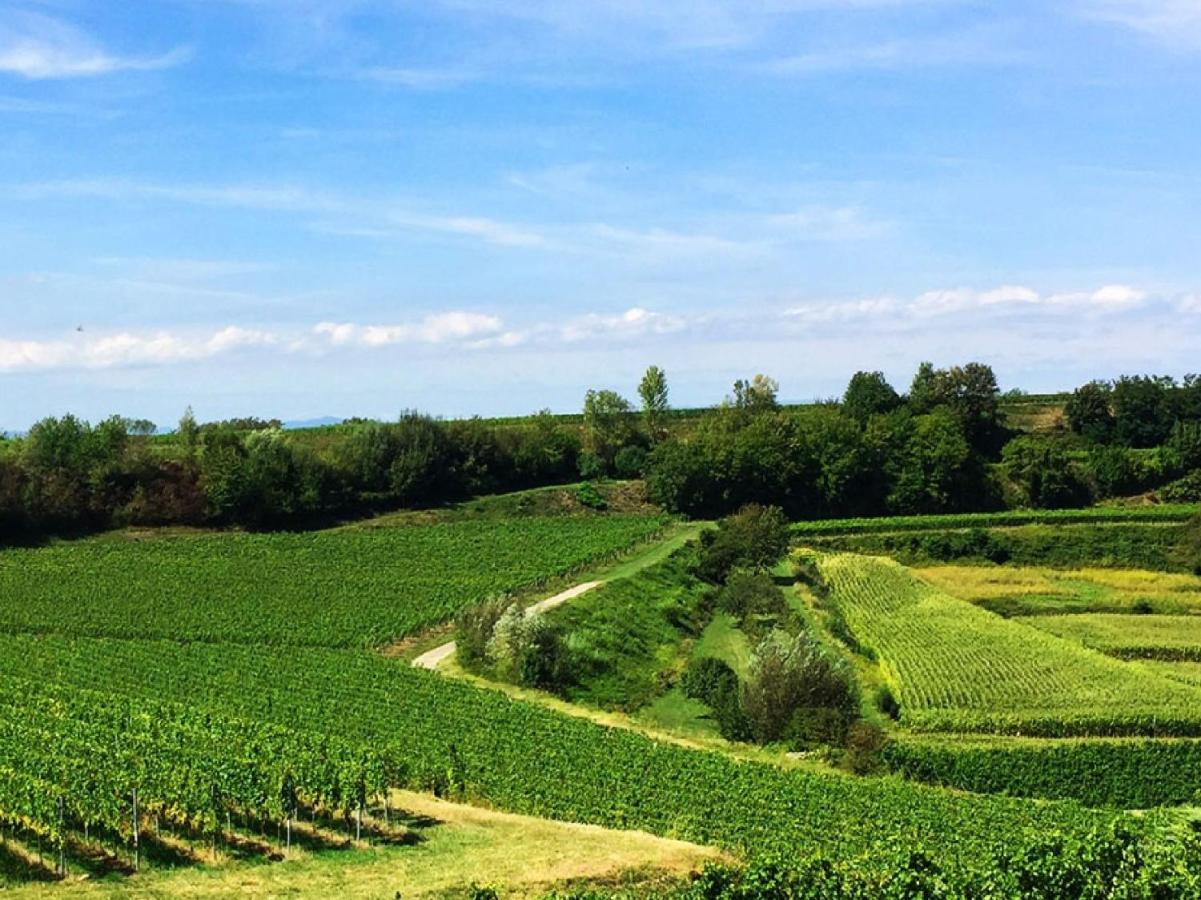 Appartamento Ferien- Und Winzerhof Simon Friburgo in Brisgovia Esterno foto