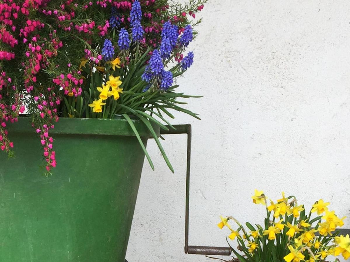 Appartamento Ferien- Und Winzerhof Simon Friburgo in Brisgovia Esterno foto